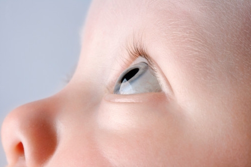 цвет глаз у малышей